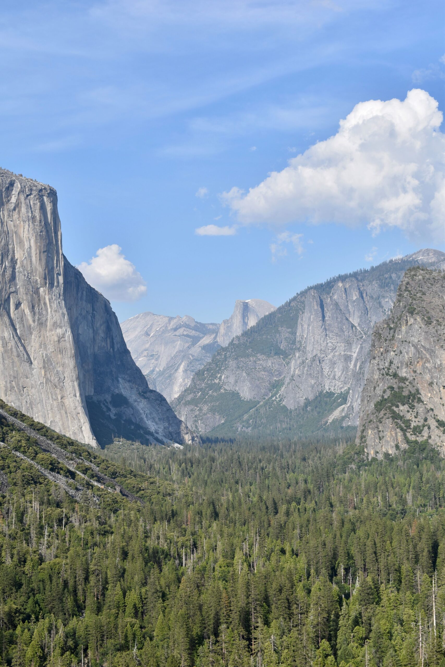 Top Must-See Spots in Yosemite National Park